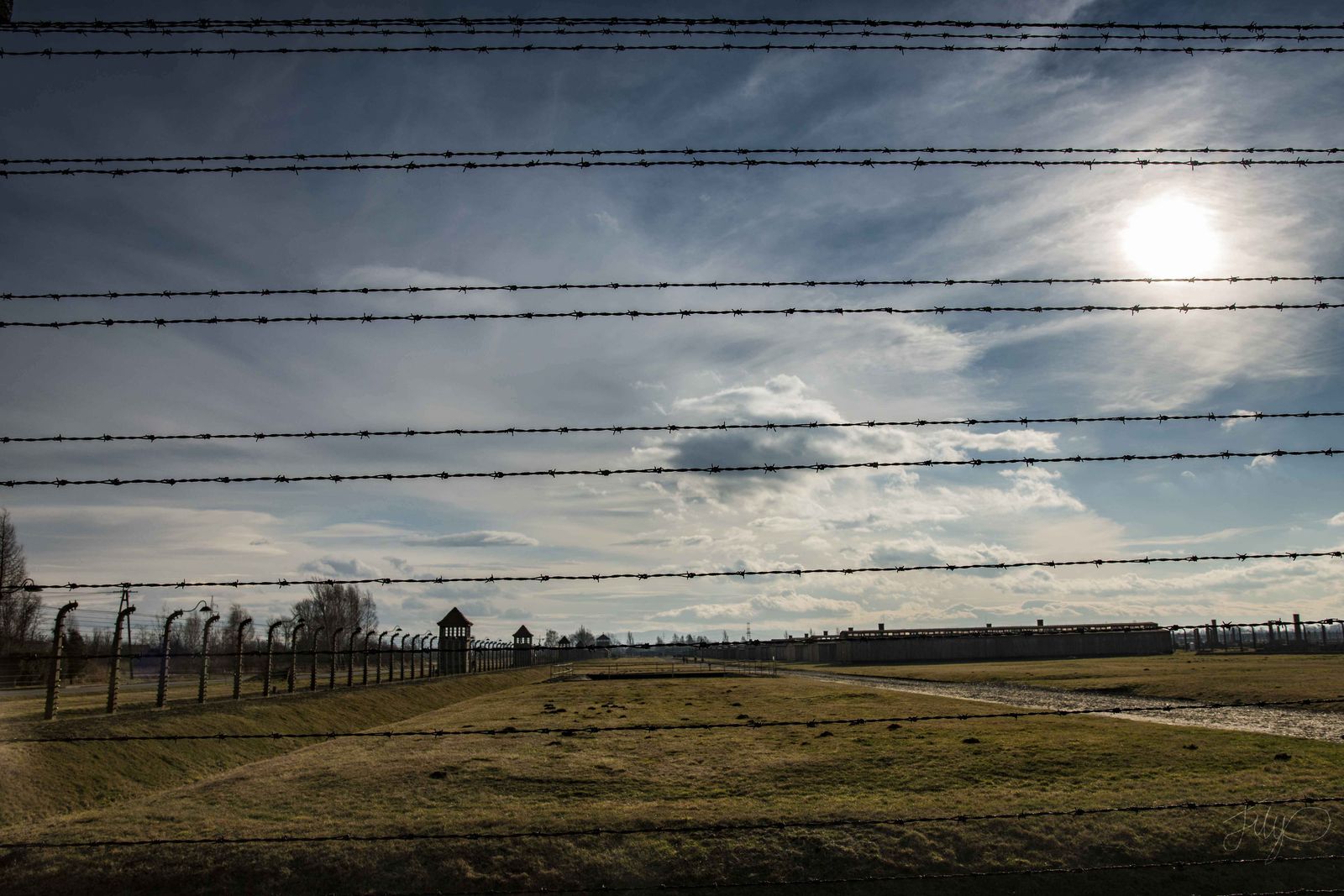 Barbed wire against the sun at Auschwitz-Birkenau